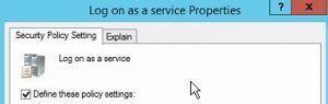Log on as a service properties